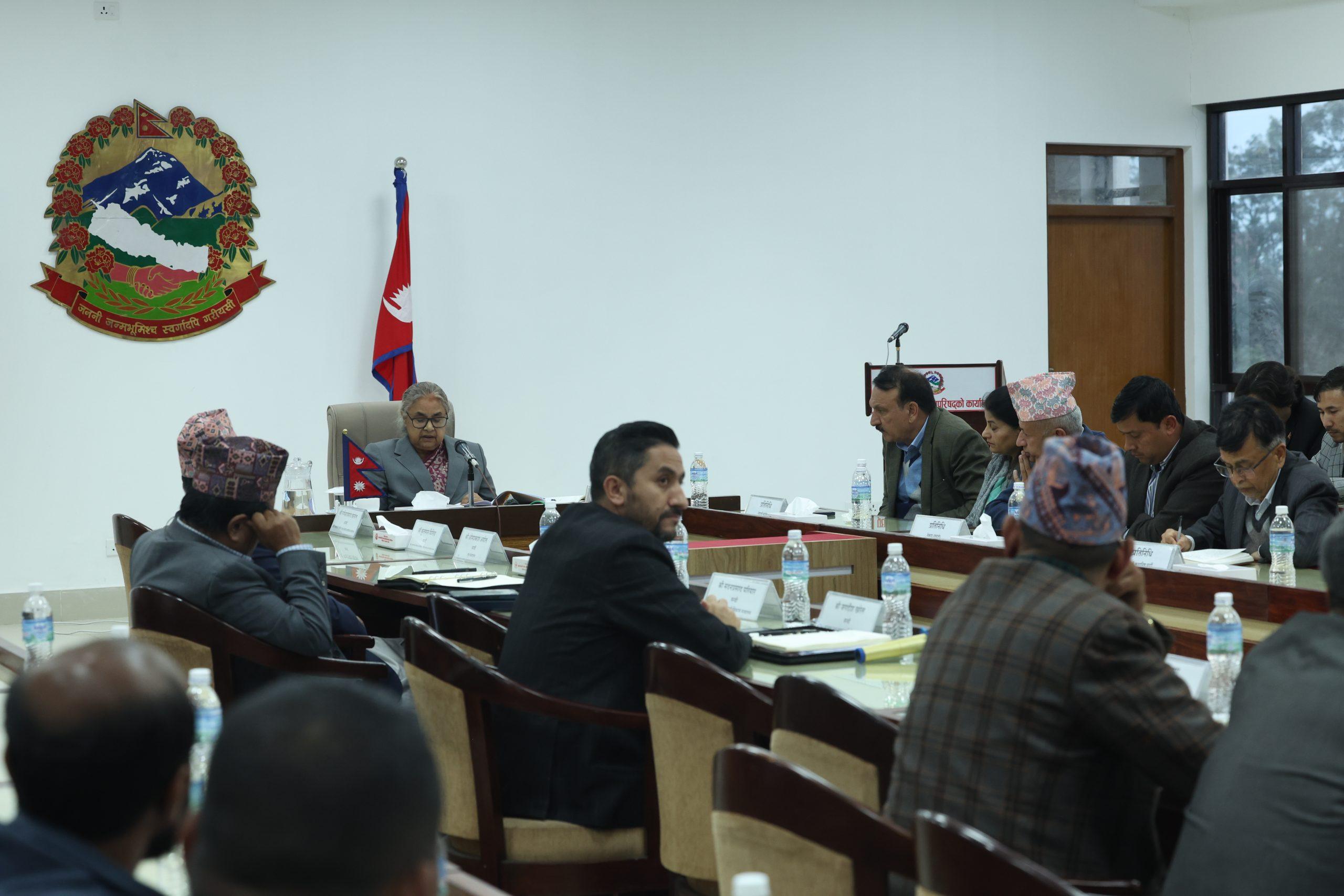 दलहरूलाई प्रधानमन्त्रीको ४ सन्देश